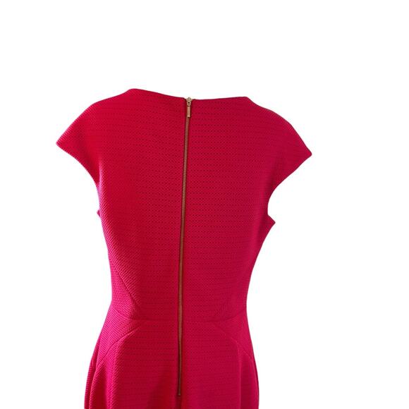 Caché Women's 10 Pink Textured Mesh Dress V Neck Cap Sleeve Fitted Mermaid Hem - Picture 11 of 12